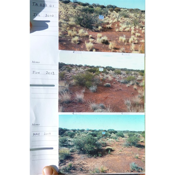 Historical photos of the same point.
