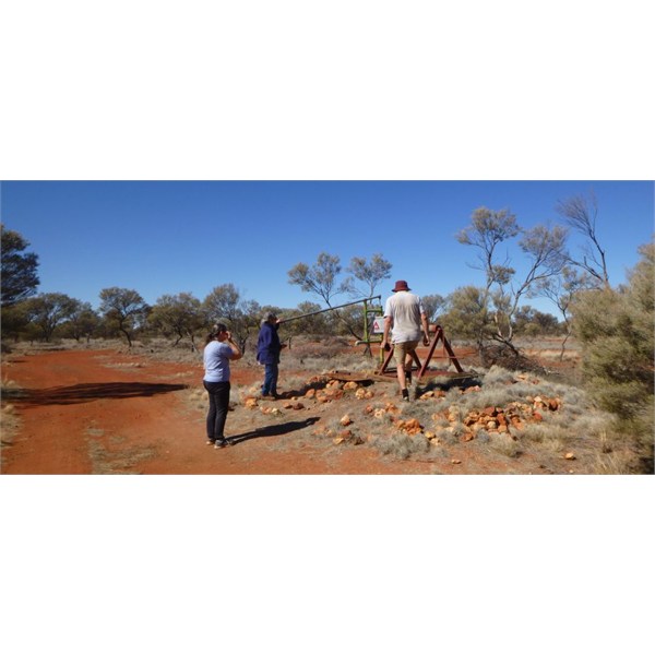 Yeo Lake Homestead August 2025