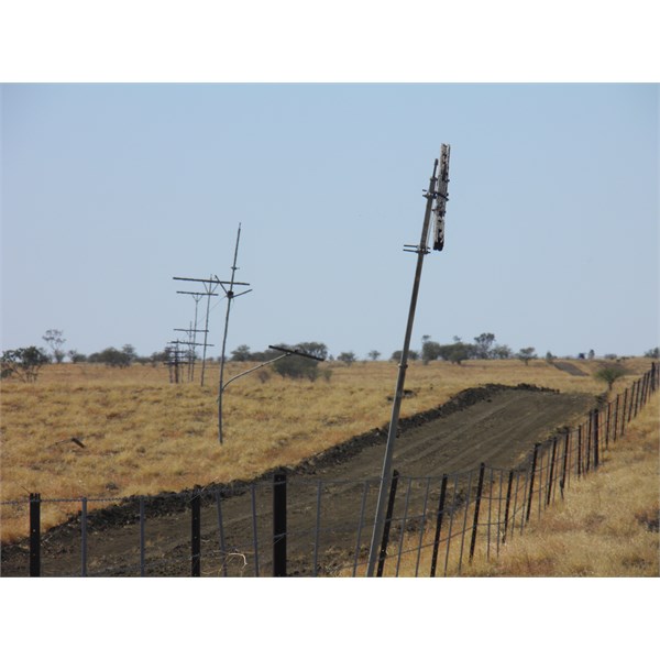 Poles at Kynuna