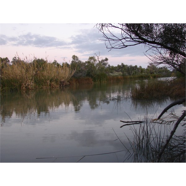 Waterhole on Frome River, Muloorina Campground, June, 2011.