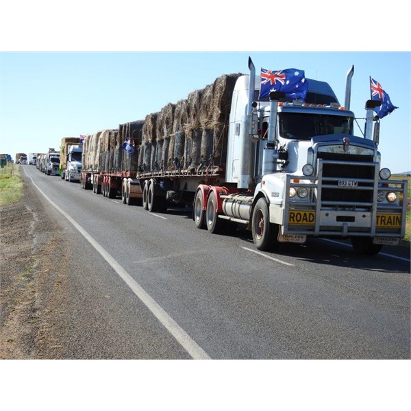 30 trucks towing 40 trailers loaded with the cows' lunch.