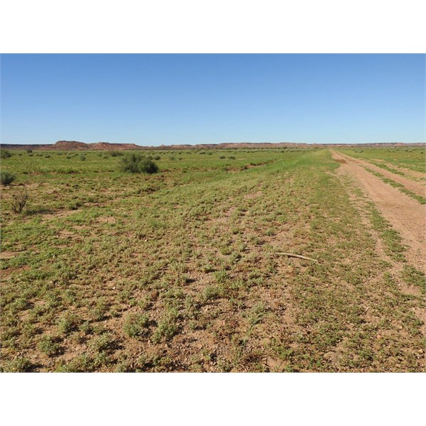 Heading towards Mayne Range, on Diamantina River Road.