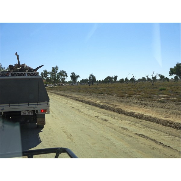 Peak hour in the bush.