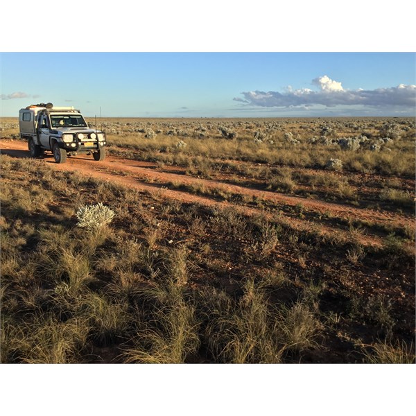 Whole lot of nothin, Cocklebiddy-Rawlinna Track WA.