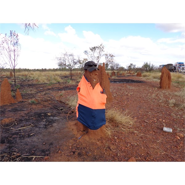 Safety Anthill, west of Mt Isa