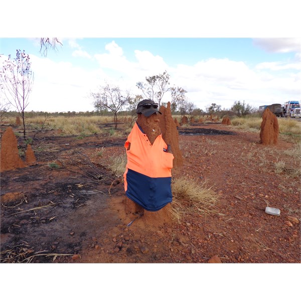 Safety Anthill, west of Mt Isa