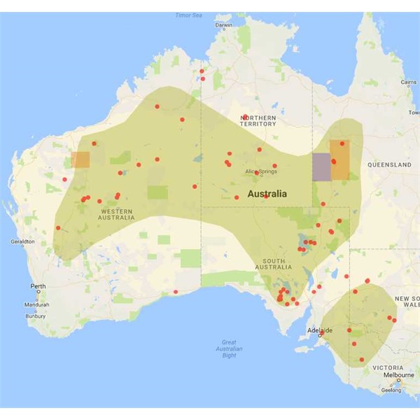 Night Parrot ALA