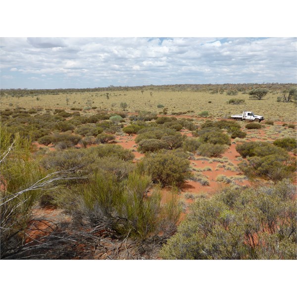 Great Victoria Desert - Oct 2015