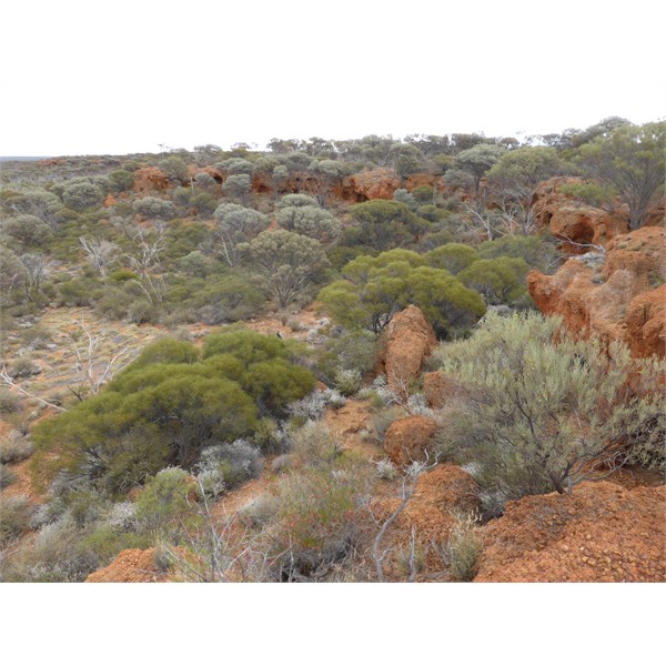 Breakaway - Great Victoria Desert - August 2015