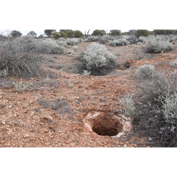 Possible Native Well Carnegie found June 10 1897