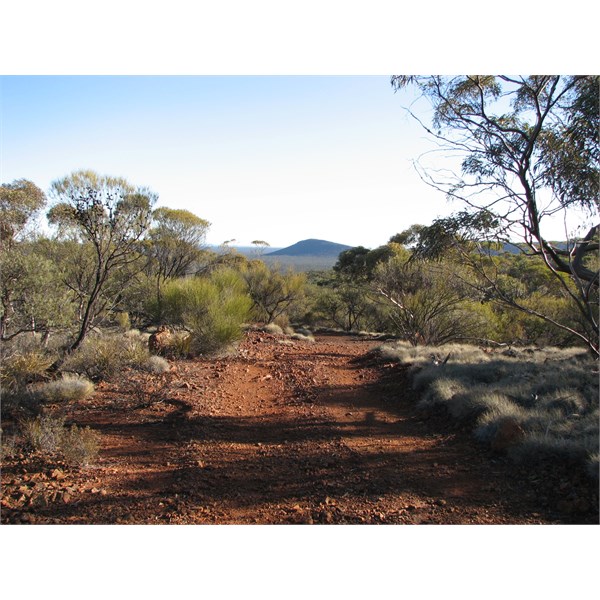 Driving down Bungalbin Hill