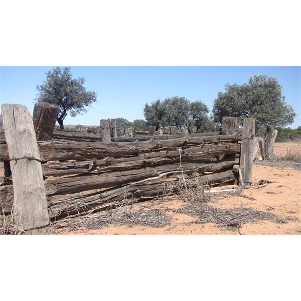 Zanci Woolshed fence