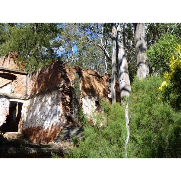 Newnes ruins