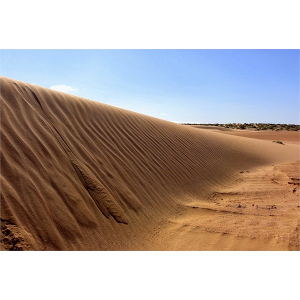 Dunes at Lake Frome