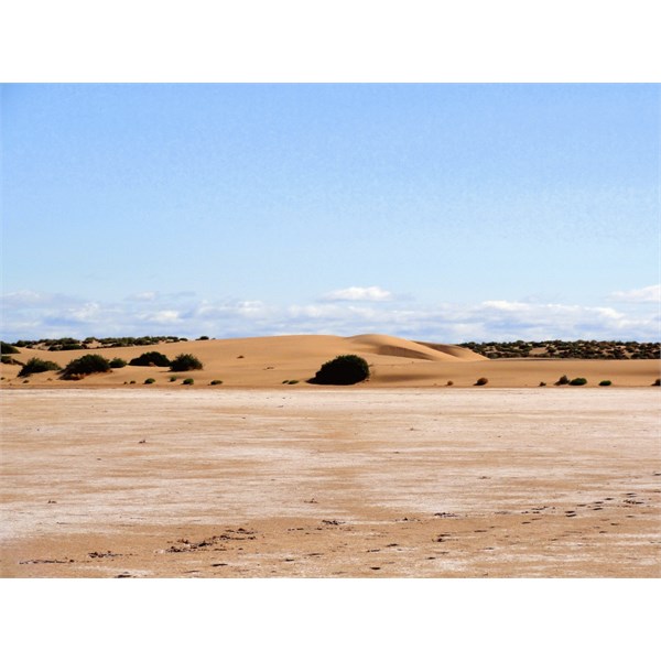 Dunes at Lake frome