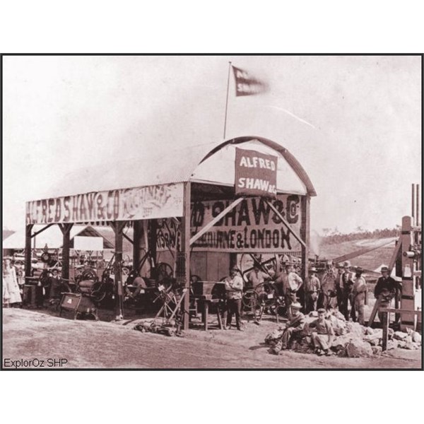 Alfred Shaw & Co at the Ekka