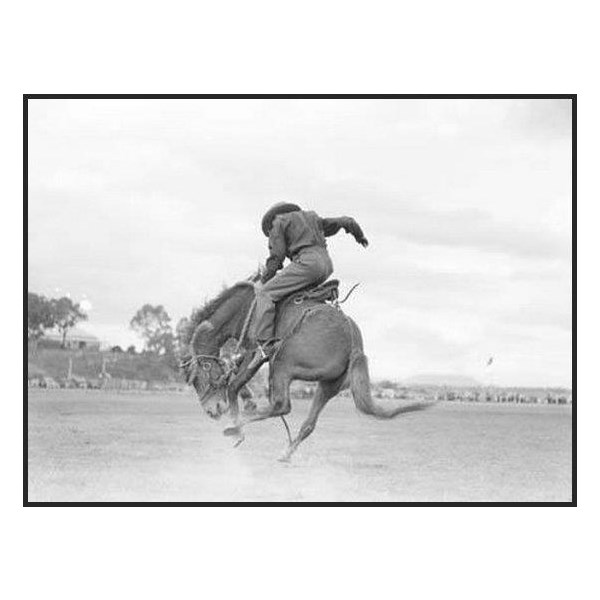 Steve Laird - Warwick Rodeo 1949