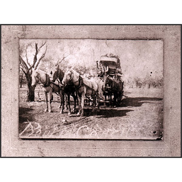 Cobb and Co. coach on Winton to Boulia Mail run with driver Steve Wall, approx' 1910