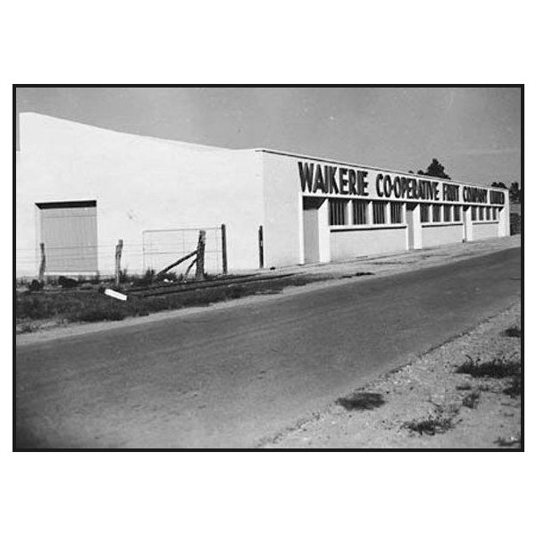 Grower's Co-operative packing shed at Waikerie 1945