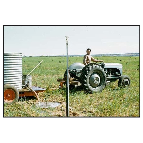 Watering young trees, Golden Heights Estate, Waikerie,