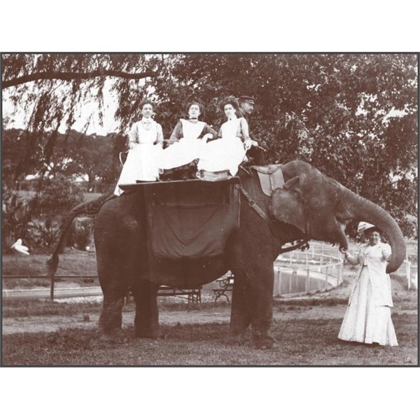 Three women take an elephant ride in an early undated photo of Taronga Zoo In 1956, all it cost for this memorable experience was sixpence