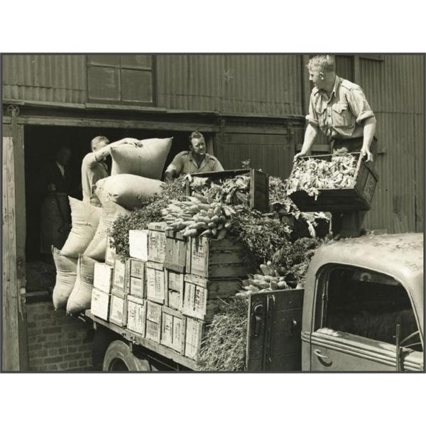 Keepers unload crates of food for the animals at Taronga