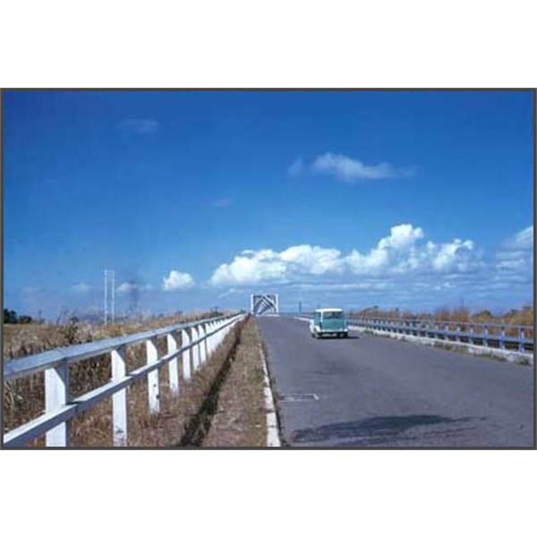 Approach to Burdekin, bridge 1957