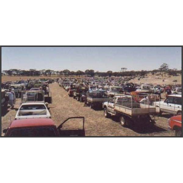 The Dog in a Ute Queue at Corrigin WA in 1998