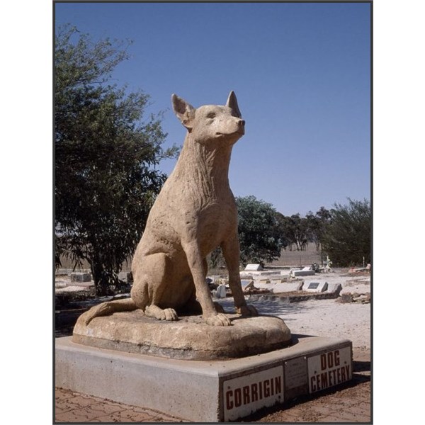 Corrign dog cemetery, a tribute to man's best friend