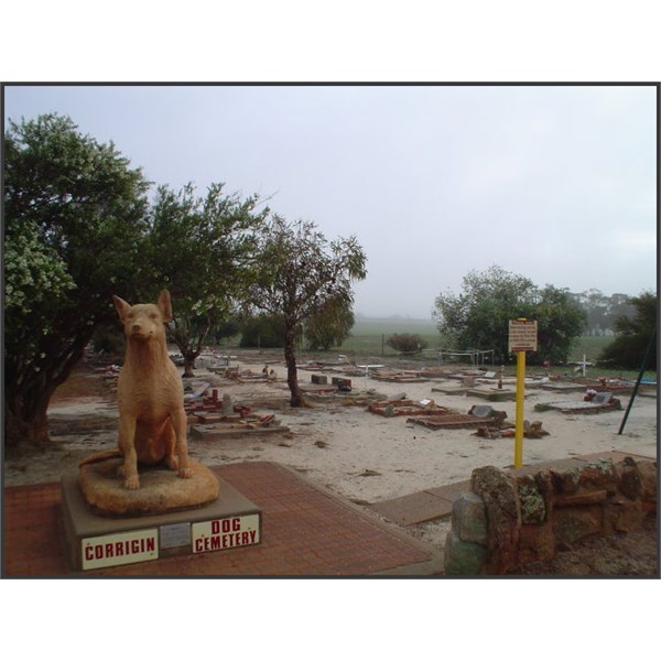 Corrigin Dog Cemetery