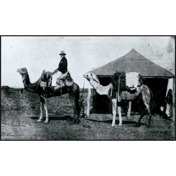 A rabbit fence inspector's outfit - H Chatterton, Superintendent of the Mitchell Rabbit Board, ready to start from Birdsville on a tour of inspection