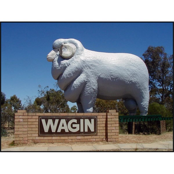 Giant Ram at Wagin