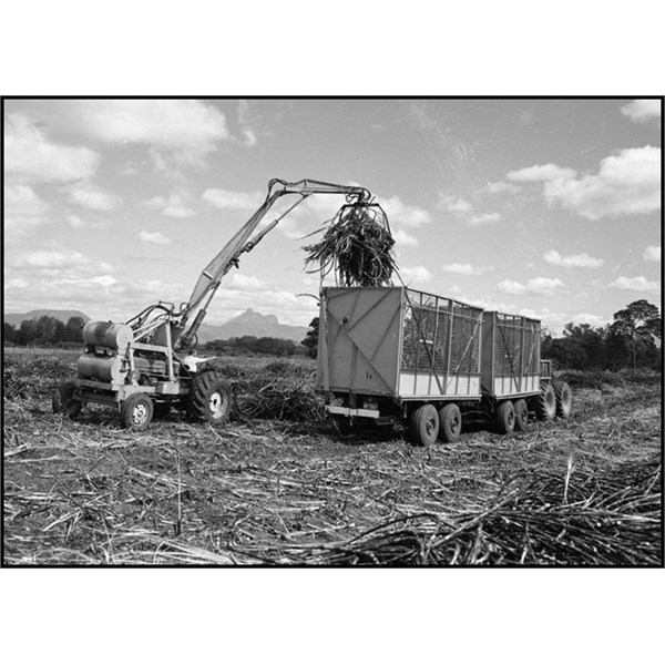 A grab loader loading sugar cane near Murwillumbah 1969