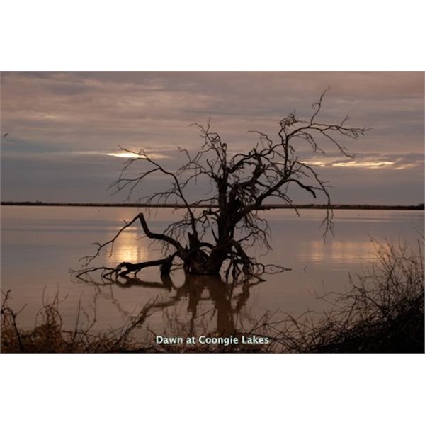 Coongie Lakes at Dawn