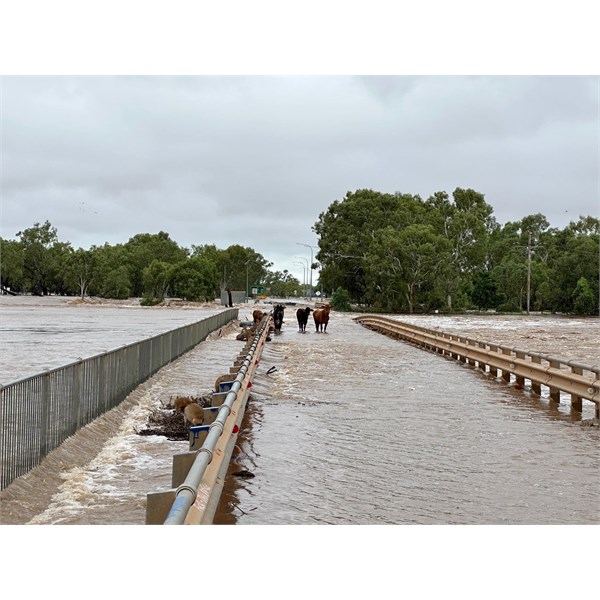 Fitzroy Xing Flooding, 3rd Jan 2023