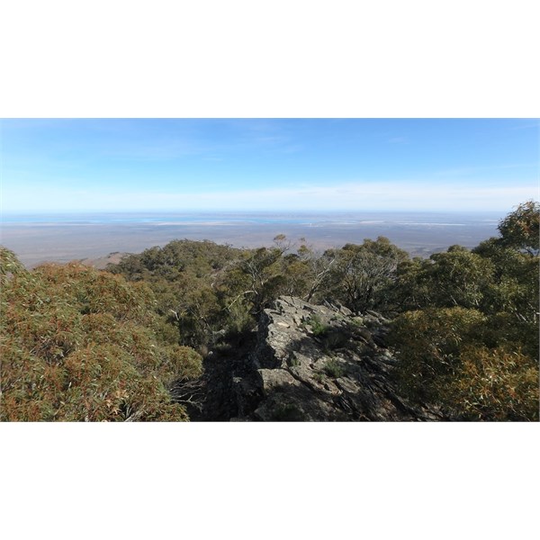 View from Mt Brown