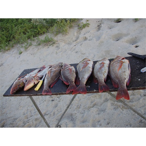 Fishing by Boat at Bruboodjoo