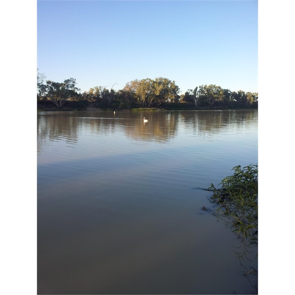 Cullymurra Waterhole