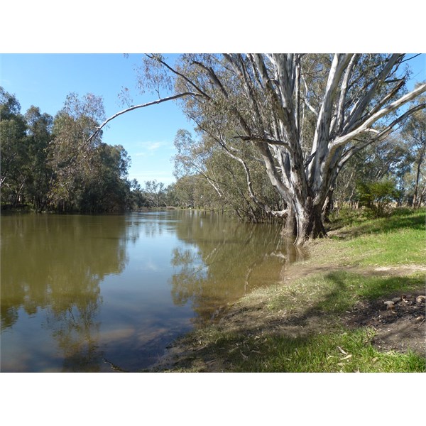 Police Paddocks