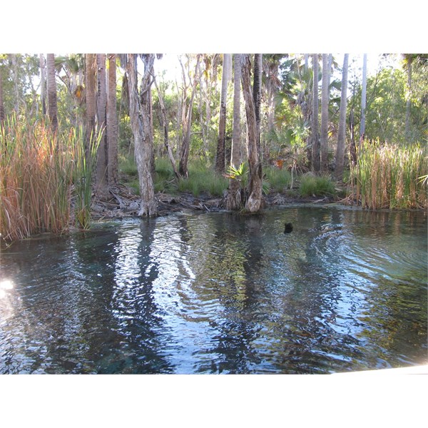 Bitter Springs Swiming Hole