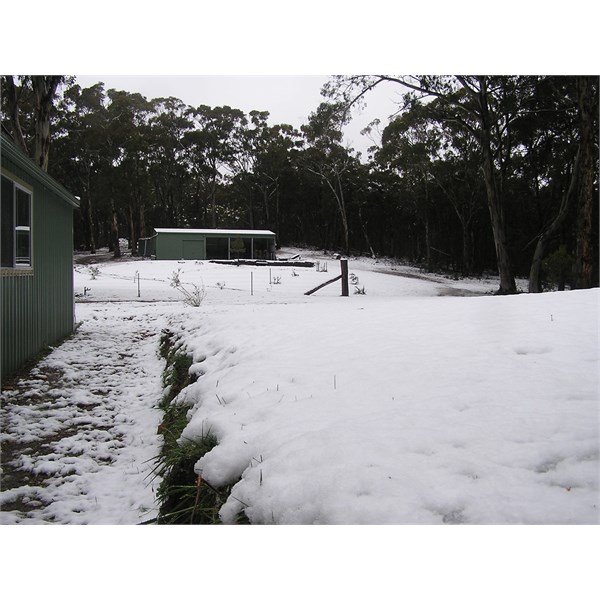 Snow at farm