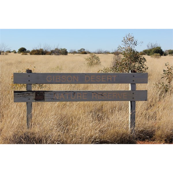 Gibson Desert