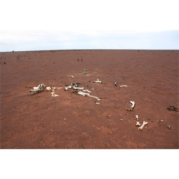 Just west of Geraldton Bore