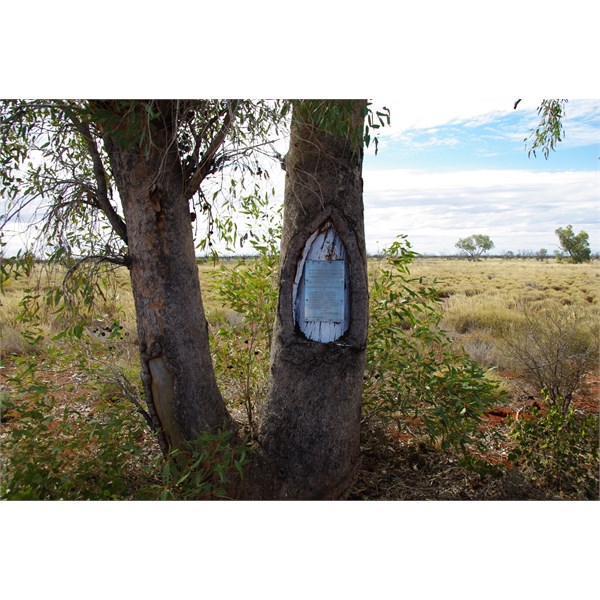 Geraldton Bore Beadell Blaze tree and plaque