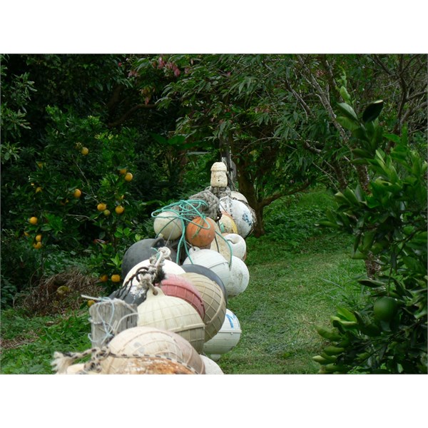 More Buoys