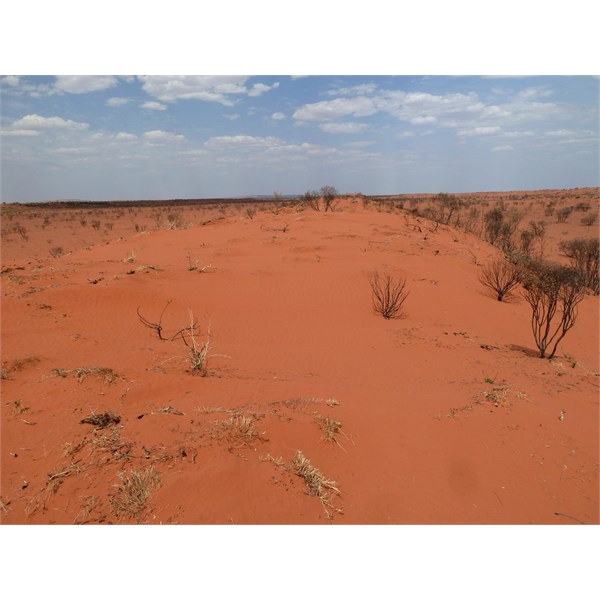 South of Talawana Track
