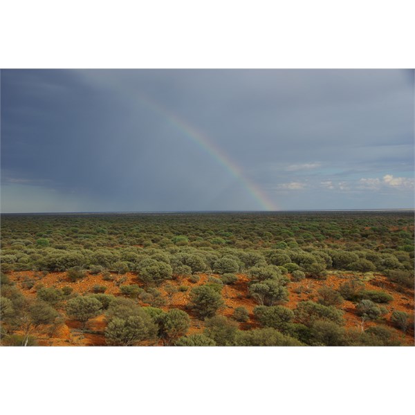 Looking at an approaching storm from on top of Mt Beadell