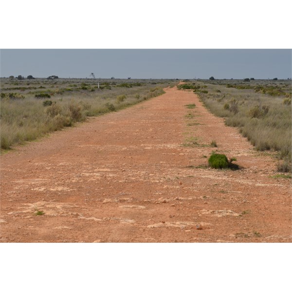 Old Eyre Highway - around 40 kms west of Nullarbor Roadhouse
