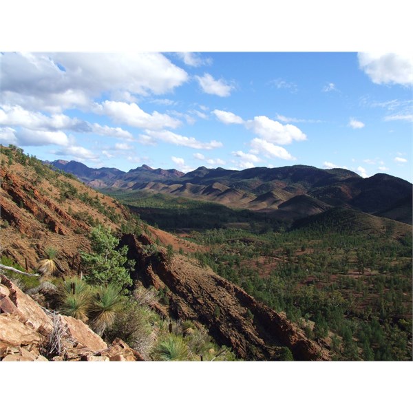 Heysen Range - Bunyaroo Valley - The Flinders