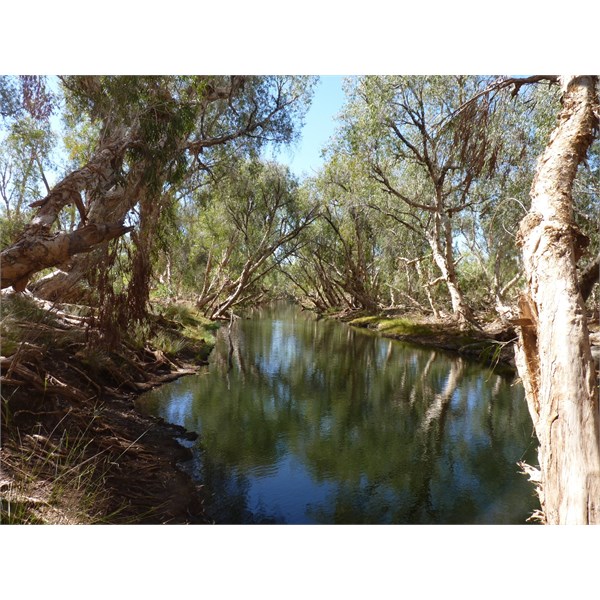 Eel Pool on the Oakover